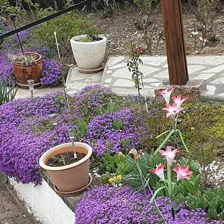 Volcans D'auvergne - Pontaumur
